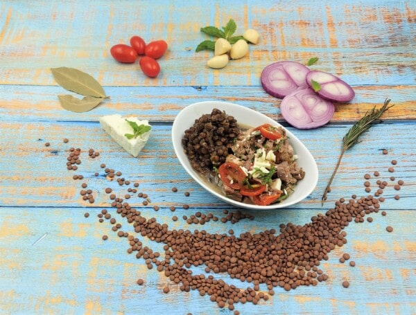 LAMB WITH LENTILS, FETA, TOMATOES AND MINT (1)